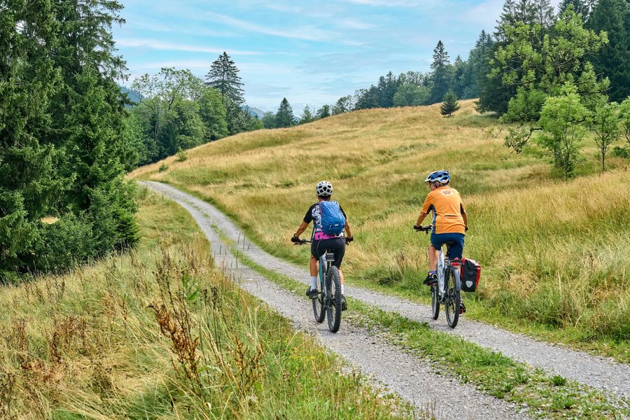 Traversée des Alpes à vélo