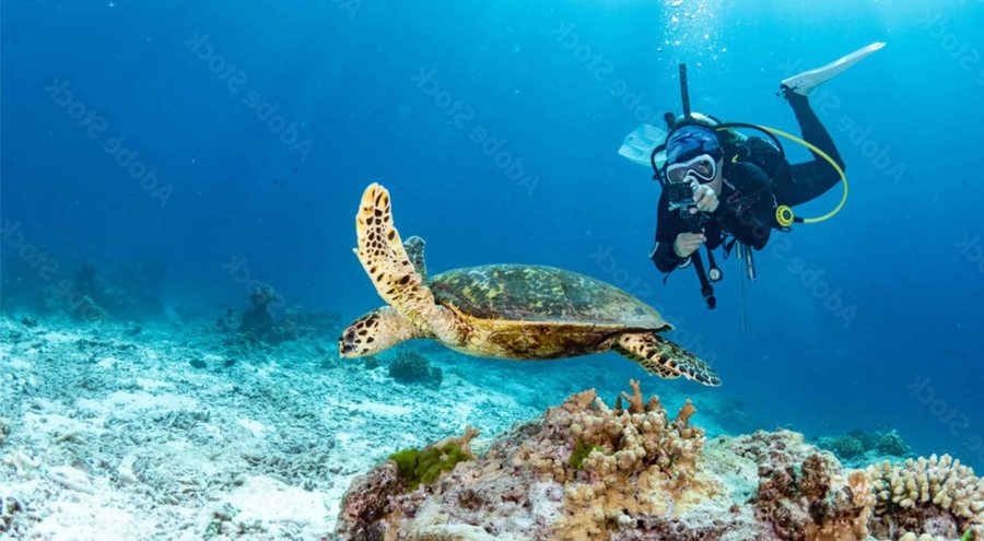 Plongées Aventure