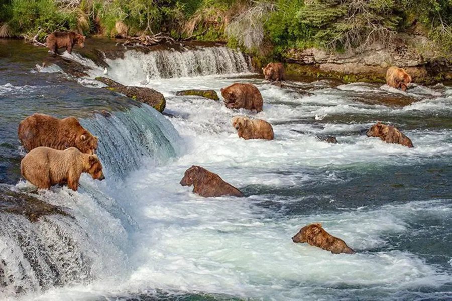 Autotour Alaska 16 jours